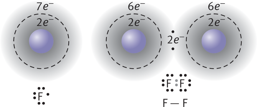 two fluorine atoms sharing two electrons