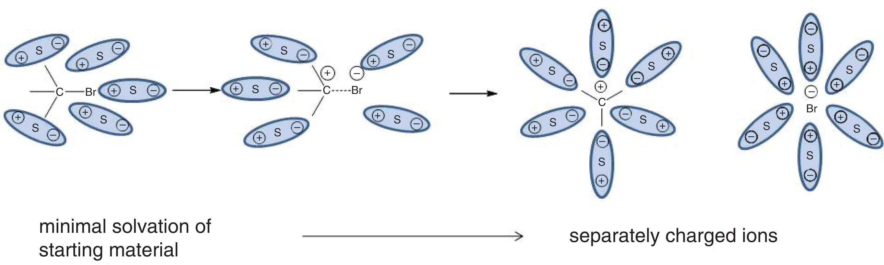 tert-butyl bromide split into tertiary carbocation and bromide, each stabilized by polar solvent particles