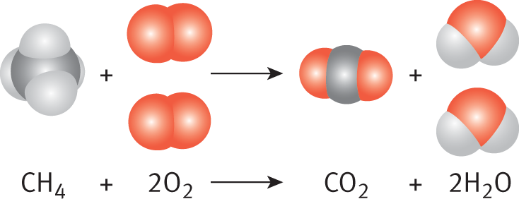 methane and two oxygen molecules form carbon dioxide and two water molecules