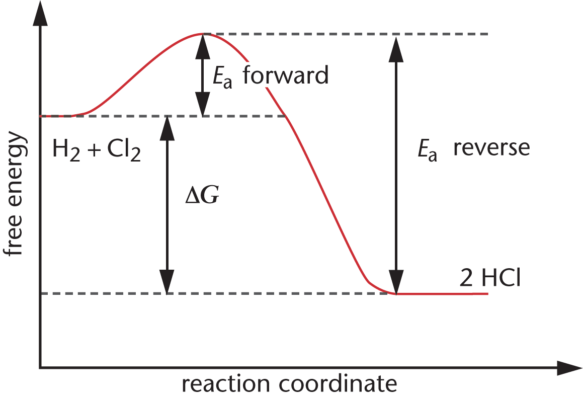 free energy vs. reaction coordinate, line creates a "hill" and then goes lower than starting point; rest of description in caption