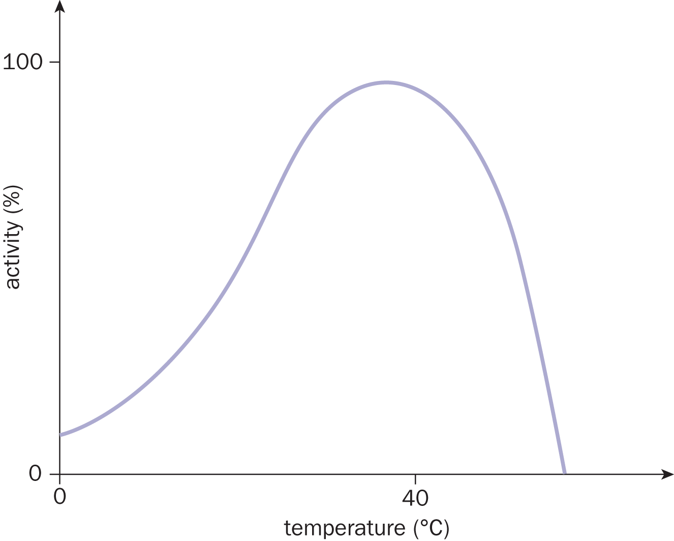 activity vs. temperature; line increases at increasing rate until just before 40 degrees celsius, then quickly drops off