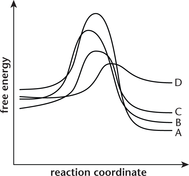 free energy vs. reaction coordinate; from highest to lowest, starting points are: A, D, B, C; highest points in graph are: A, B, C, D; ending points are: D, C, B, A