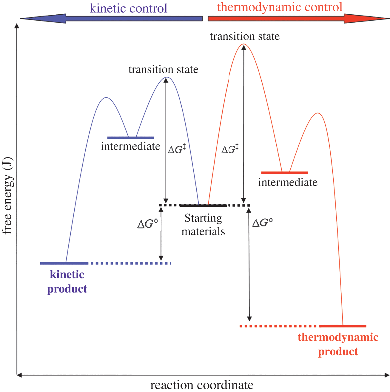 from starting materials to kinetic product: two humps with low first activation energy and higher-energy final product; to thermodynamic product: two humps with high first activation energy and lower-energy final product