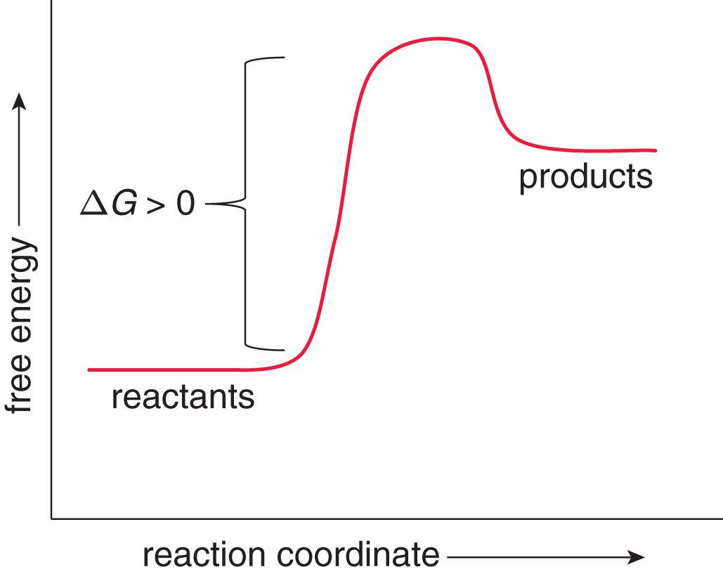 free energy vs. reaction coordinate; reactants are lower than products; positive delta-G labeled