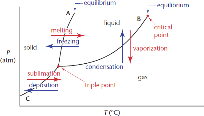 phase diagram