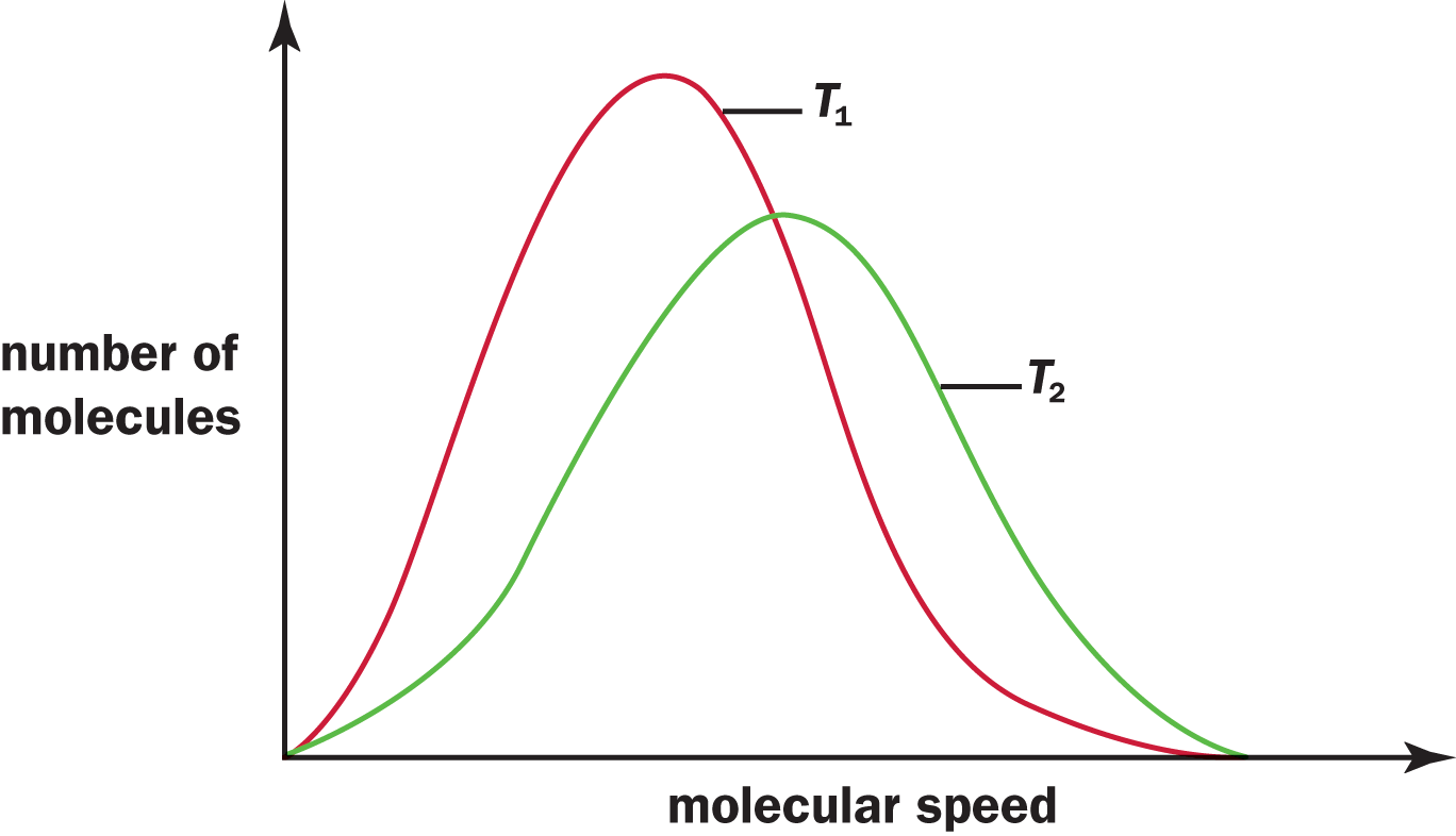 number of molecules vs. molecular speed; T1 is taller but more narrow and shifted left; T2 is shorter but wider and shifted right