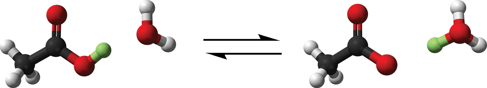 acetic acid gives proton to water, forming acetate and hydronium