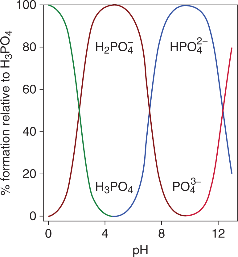  percent molecules vs. pH; H3PO4 predominates 0-2, H2PO4- predominates 2-7, HPO42- predominates 7-12, PO43- predominates greater than 12