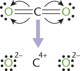 "award" electrons to bonds in oxygen, giving each oxygen an oxidation number of -2 and carbon +4.
