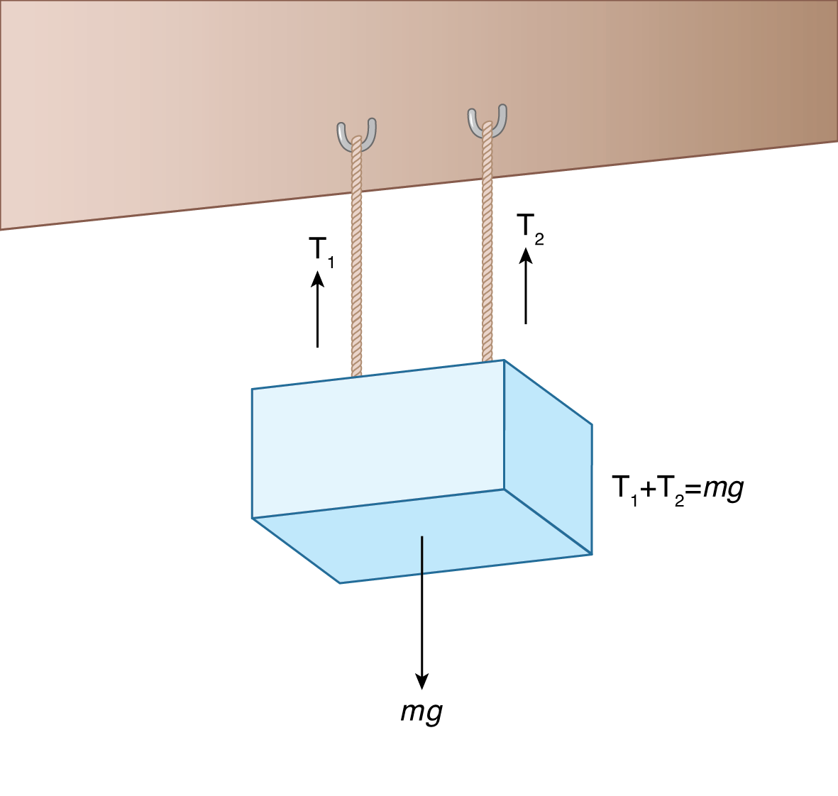 block held by two ropes; T1 and T2 point up, weight points down; T1 + T2 = mg (weight)