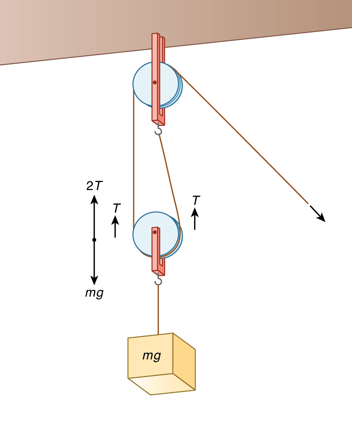 pulley at top and bottom of rope, holding object with weight mg; each rope around pulley has tension T