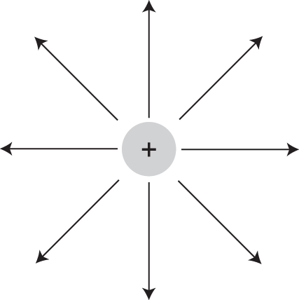 arrows pointing radially outward from positive charge