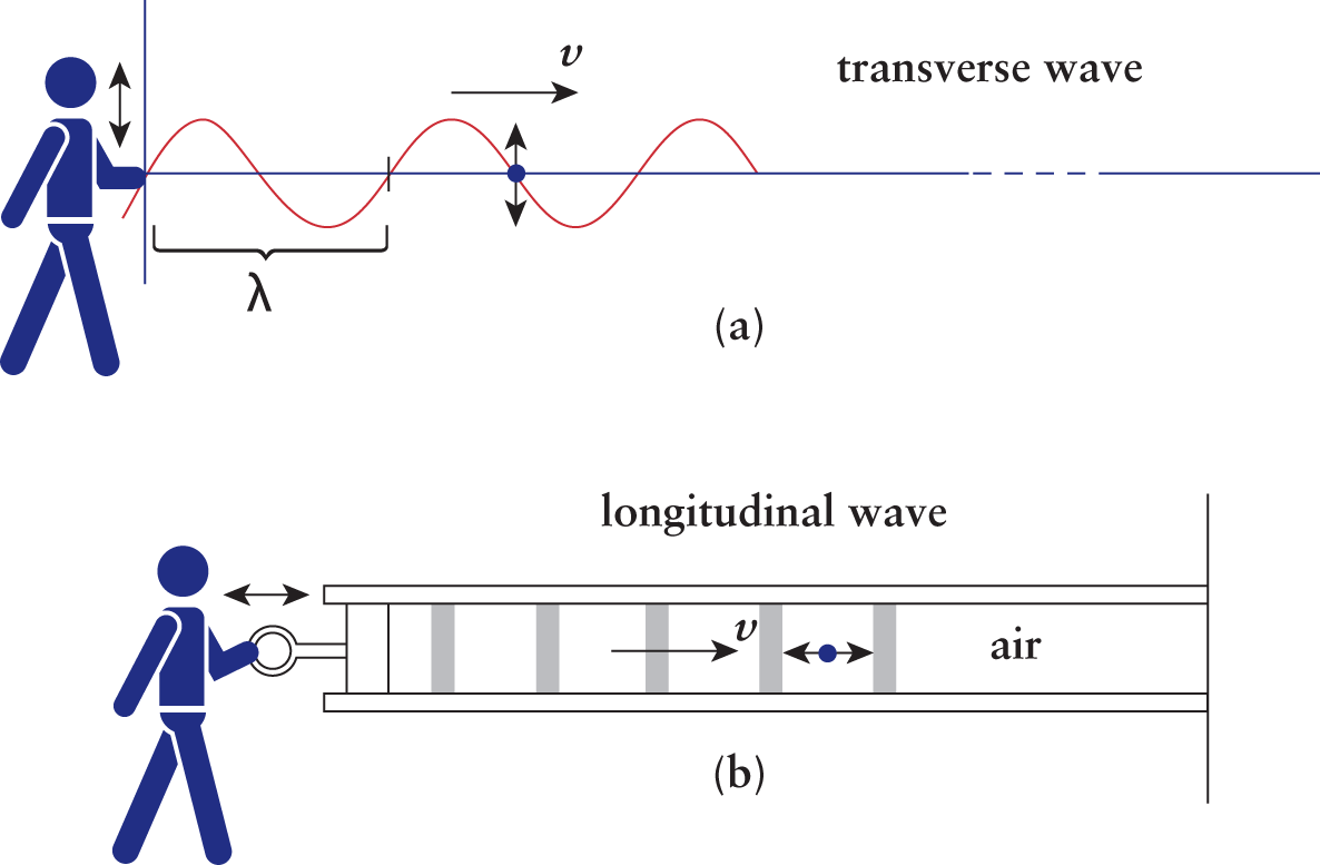 (a) string oscillating up and down; propagation speed and wavelength labeled; (b) bands of high pressure in a closed piston system; propagation speed labeled