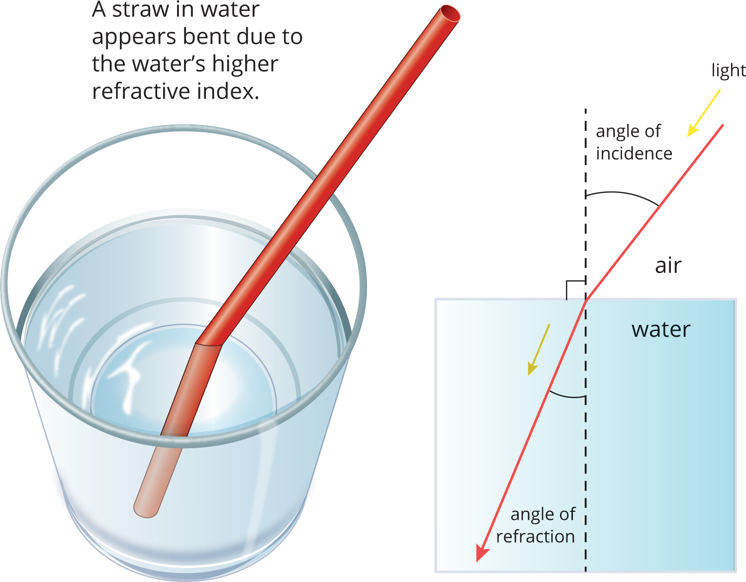 a pencil in water appears bent because of the water’s higher refractive index; when light travels from a medium with low refractive index to one with higher refractive index, it bends toward the nornal