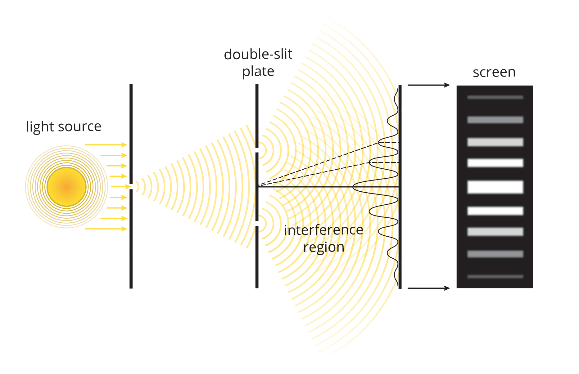 light passing through lens and double slits separated by distance d, forming alternating bright and dark fringes; screen is distance D from slits; first bright fringe at angle theta and distance y from axis