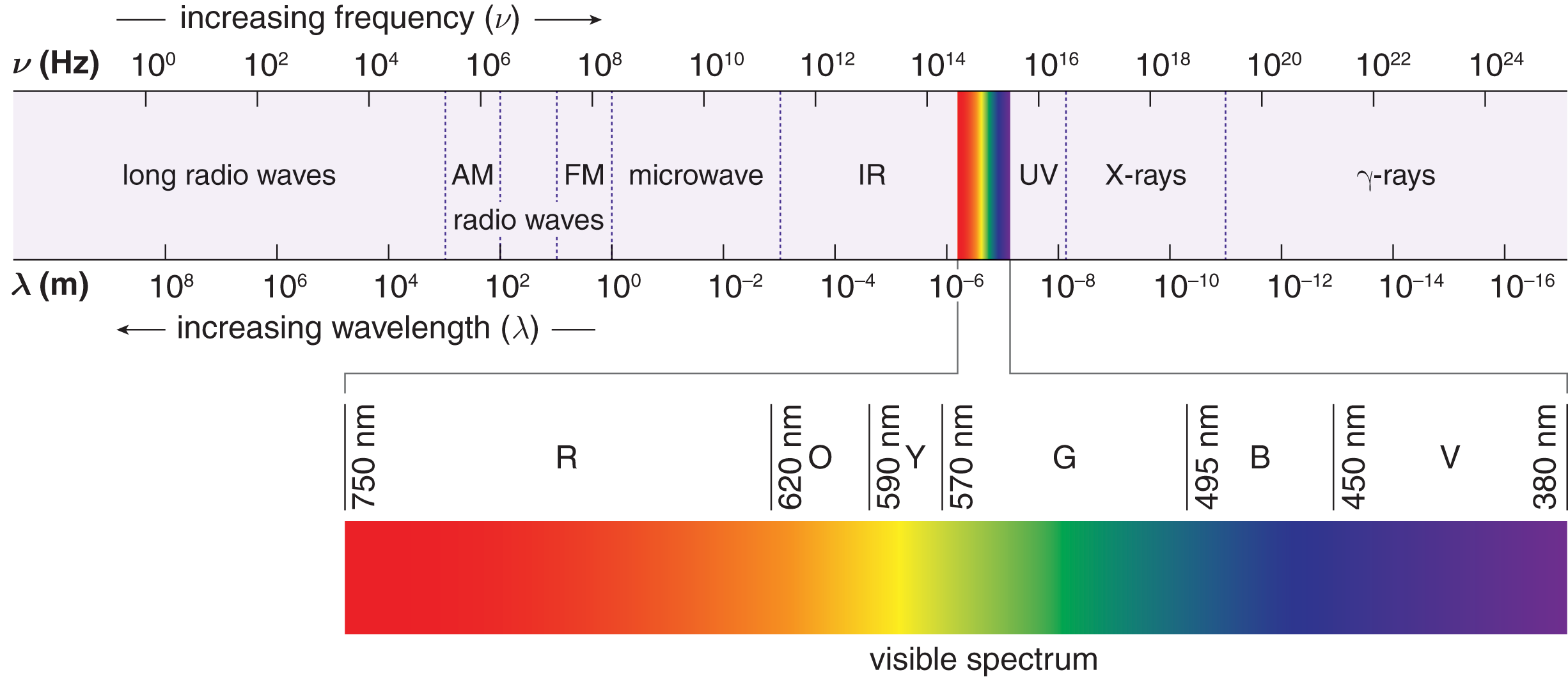from highest frequency (lowest wavelength): gamma rays, x rays, UV, visible light (violet, blue, green, yellow, orange, red), infrared, microwave, FM and AM radio, long radio waves