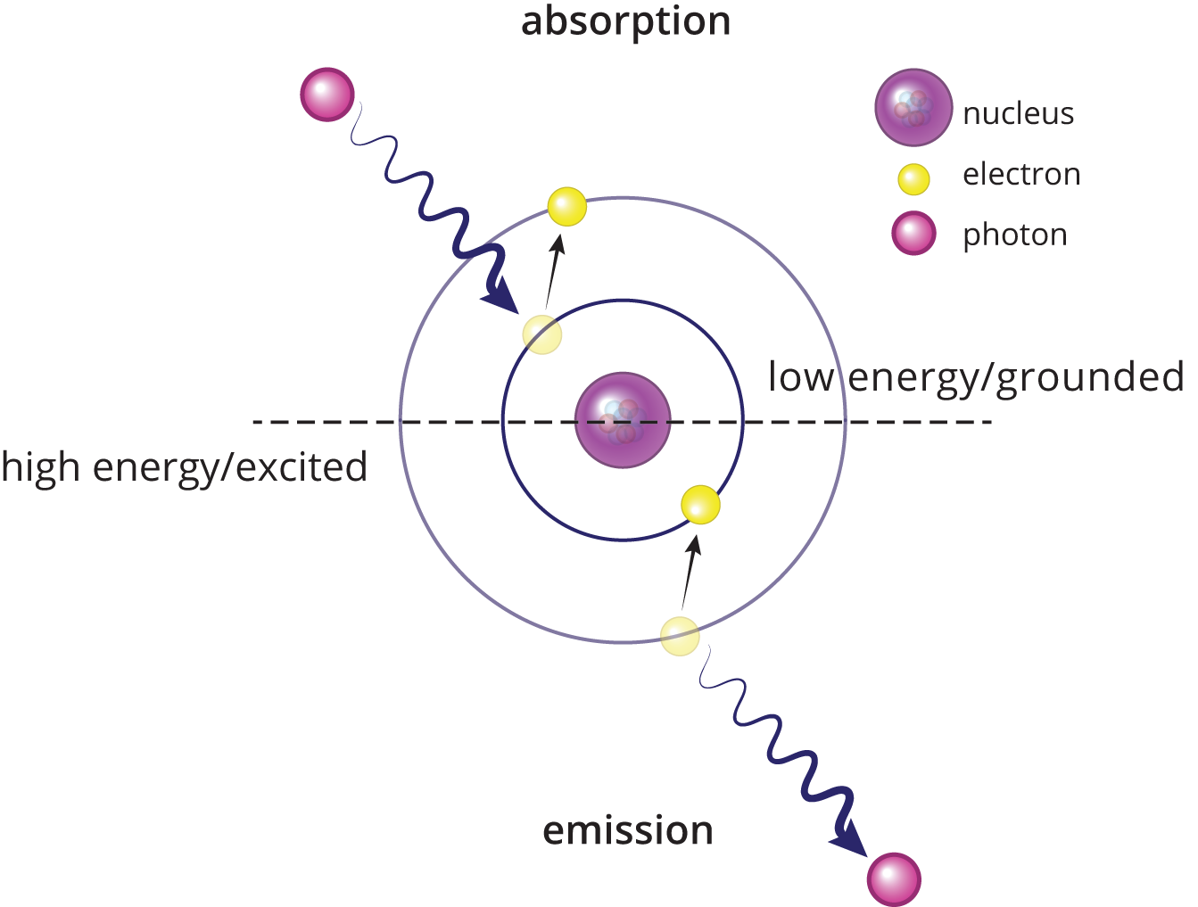 photon absorbed in ground-state hydrogen atom, pushing electron to higher-energy orbit; when electron falls back to original orbit, photon is released