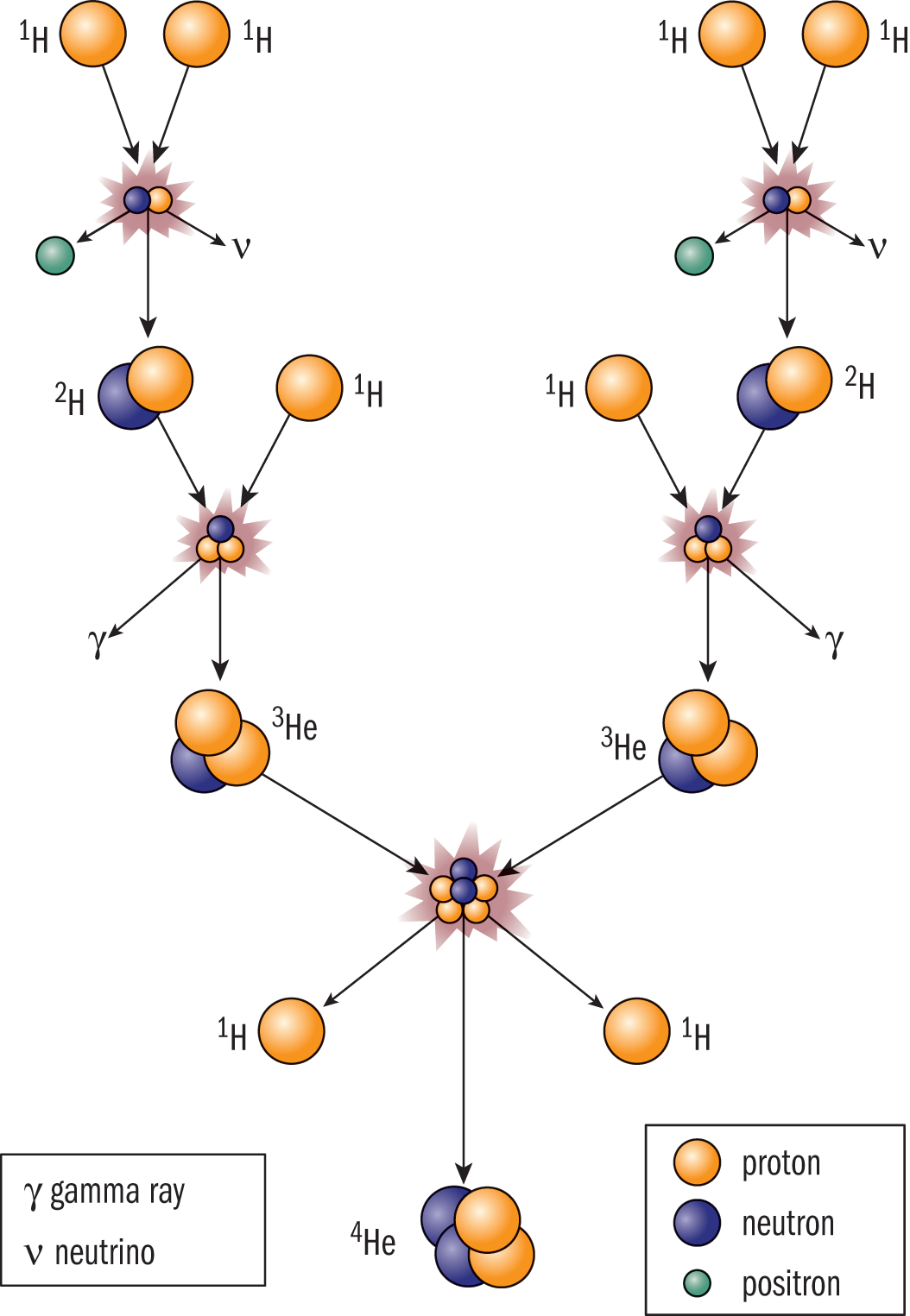 four hydrogen nuclei coming together, giving off gamma rays, neutrinos, positrons, and protons at various steps, forming a helium nucleus