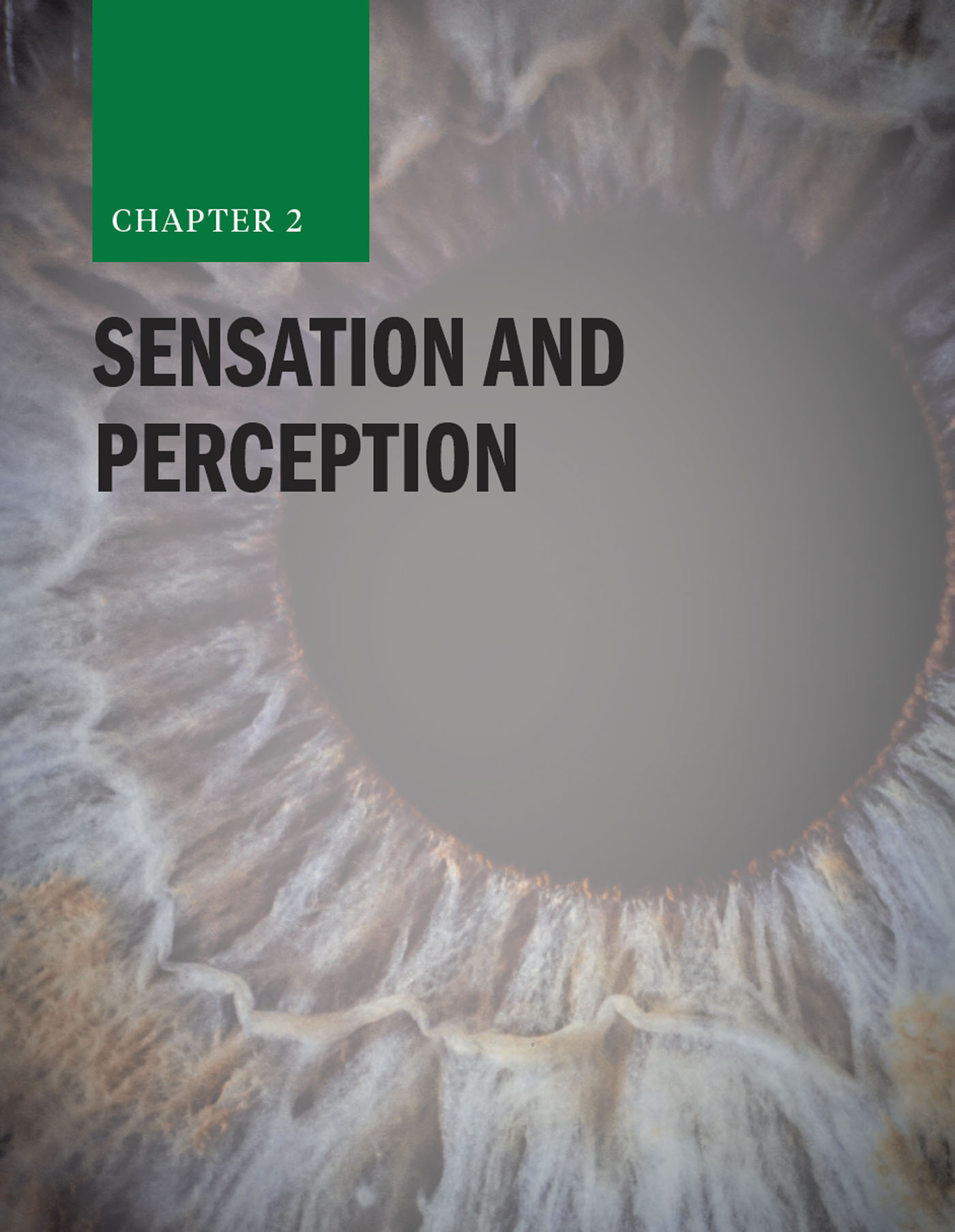 Chapter 2: Sensation and Perception with an eye in the background