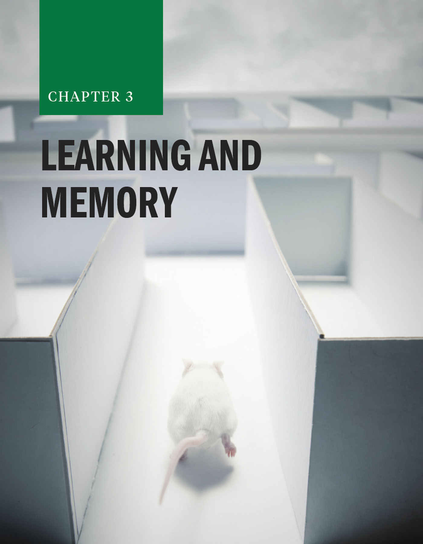 Chapter 3: Learning and Memory with a mouse running through a maze in the background