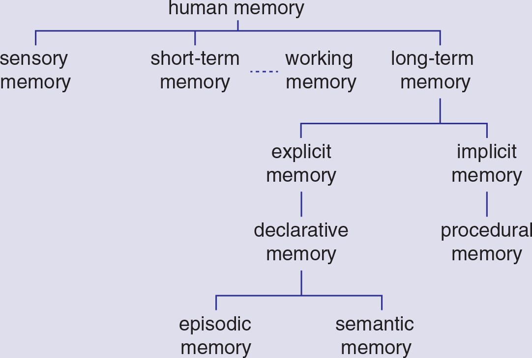 types of memory categorized into branches