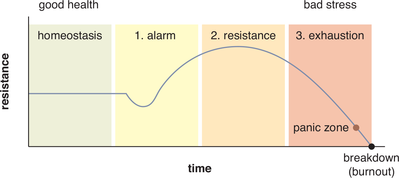 good health leads to 1) alarm stage - low but increasing resistance; 2) resistance stage - highest resistance, 3) exhaustion stage - dropping resistance, then panic zone; then breakdown