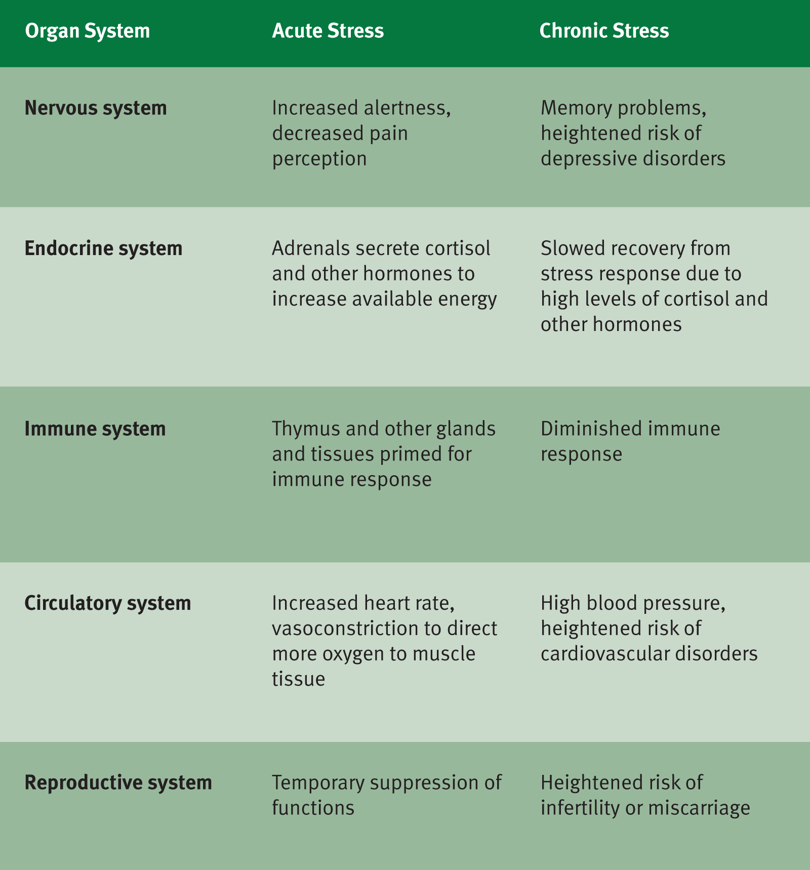 acute: increased alertness, decreased pain perception, immune system readied, increased heart rate, constricted blood vessels, hormone release for energy supply, decreased reproductive function; chronic: impaired memory, depression, deteriorated immune response, high blood pressure, cardiovascular disease, slowed recovery, infertility, miscarriage