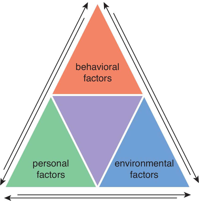 bidirectional connections between behavioral, personal, and environmental factors