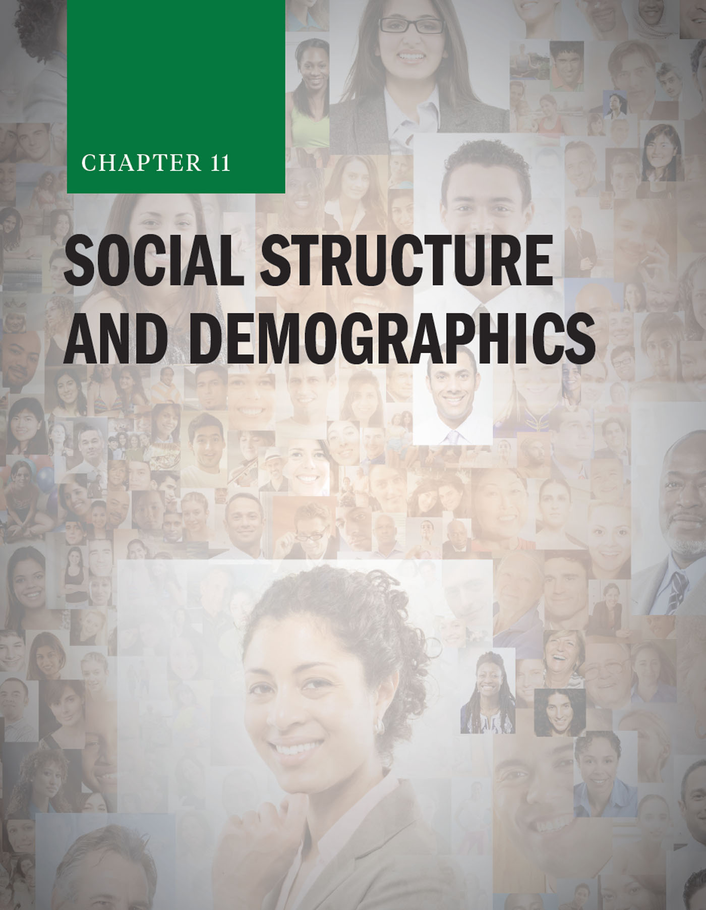 Chapter 11: Social Structure and Demographics with person filling out a form in the background
