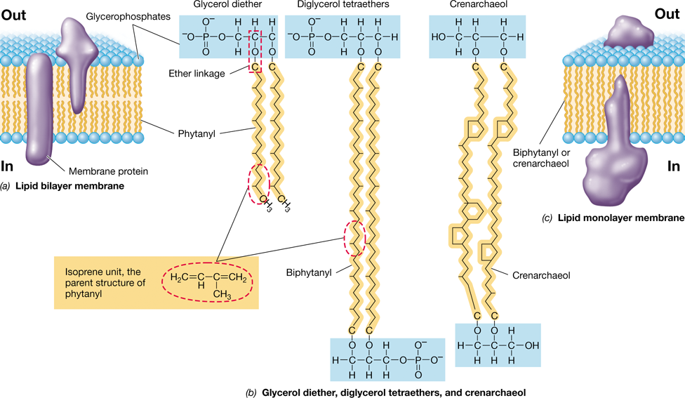 Ch 2 fig (p. 0)