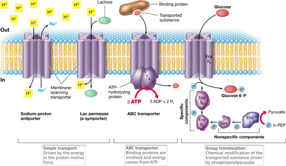 Ch 2 fig (p. 0)
