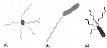 Ch 2 fig (p. 0)
