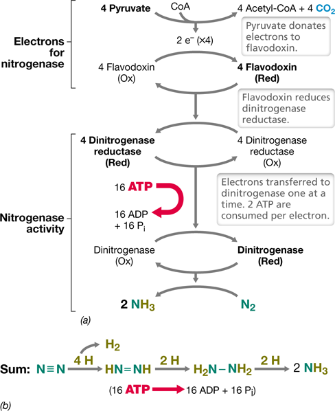 Ch 3 figure