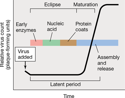 Ch 5 fig (p. 0)