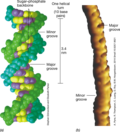 Ch 6 fig (p. 0)