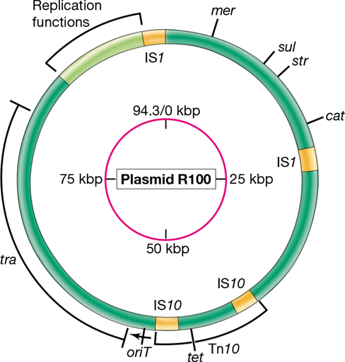 Ch 6 fig (p. 0)