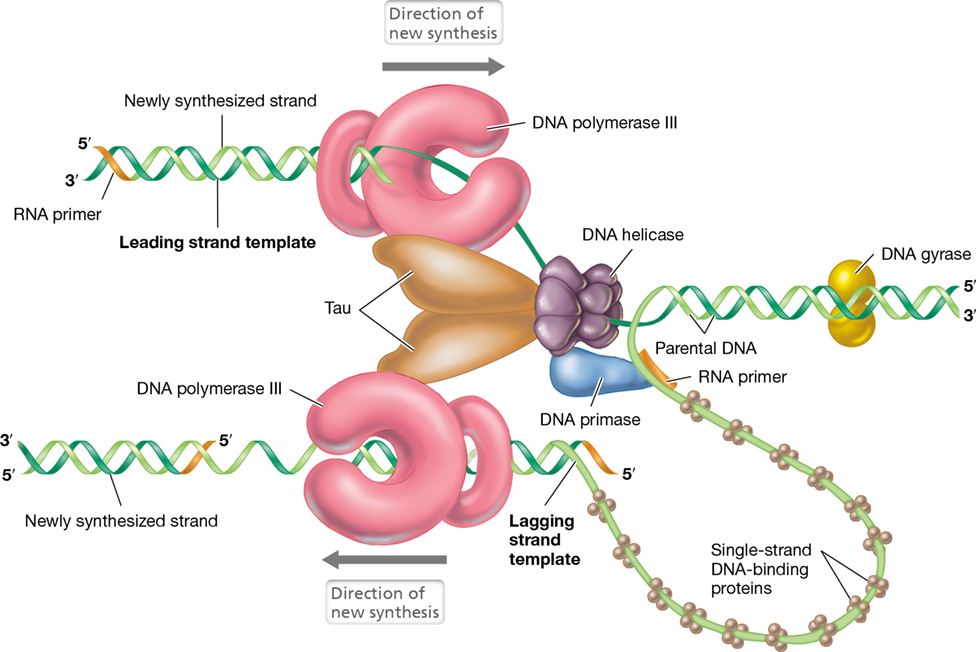 Ch 6 fig (p. 0)
