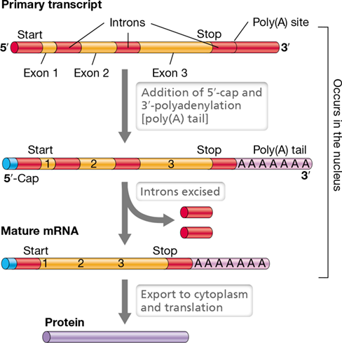 Ch 6 fig (p. 0)