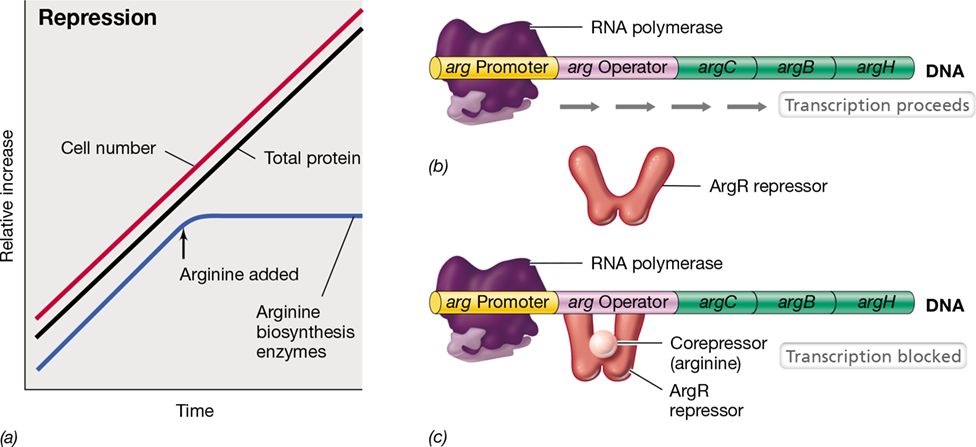 Ch 7 fig (p. 0)