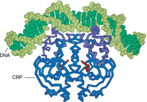 Ch 7 fig (p. 0)