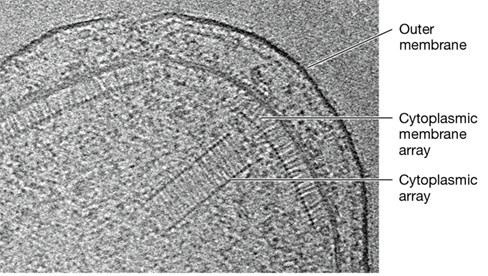 Ch 7 fig (p. 0)