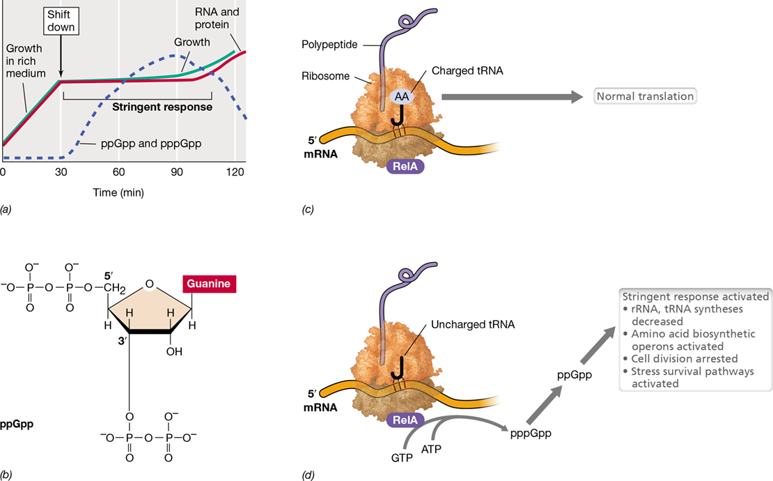 Ch 7 fig (p. 0)