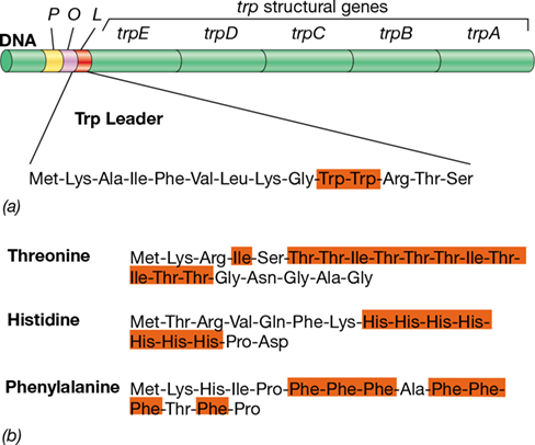 Ch 7 figure
