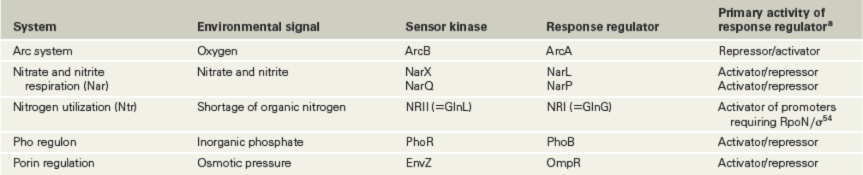 Ch 7 figure