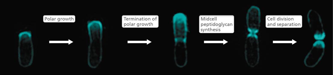 Ch 8 fig (p. 0)