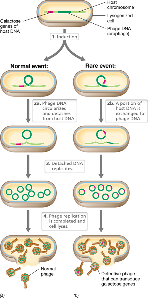 Ch 9 fig (p. 0)