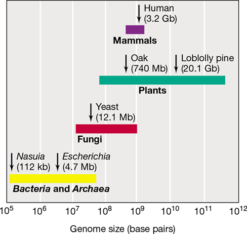 Ch 10 fig (p. 0)