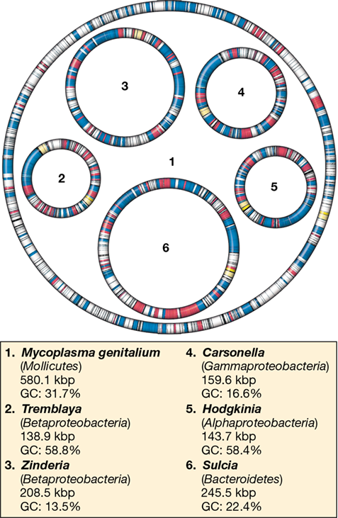Ch 10 fig (p. 0)