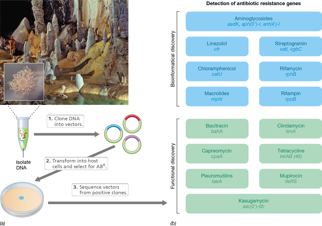 Ch 10 fig (p. 0)