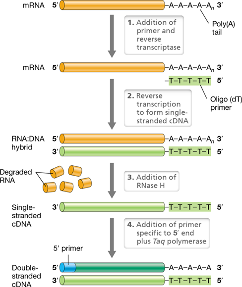 Ch 12 fig (p. 0)